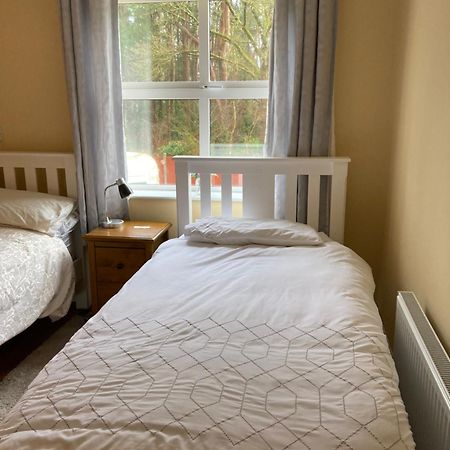 Woodside Panzió Nenagh Kültér fotó
